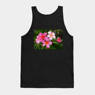 Kailua Kona Pink Plumeria Tank Top